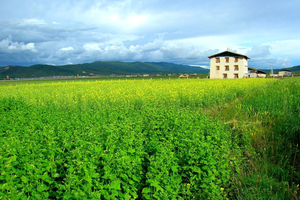 Shangri-La Lao Shay Youth Hostel Luaran gambar