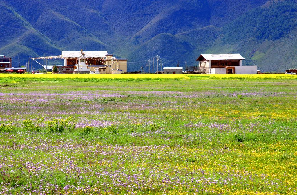 Shangri-La Lao Shay Youth Hostel Luaran gambar